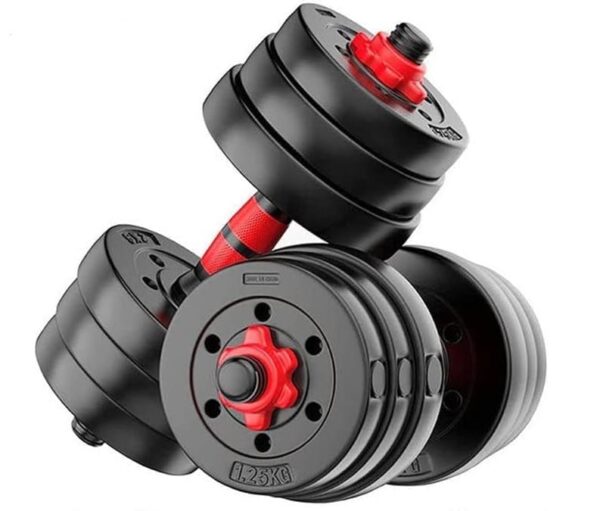 FitBox Sports Intruder Dumbbells 8kg (2kg x 4) Button Shapped Weight Plates & Dumbbell Rods for Home Gym Set, Black